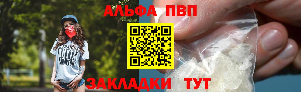 Альфа ПВП СК КРИС Кореновск