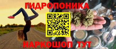 шишки Гусев