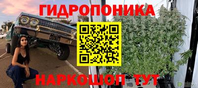 дживик Гусь-Хрустальный