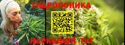 гашик Гусиноозёрск