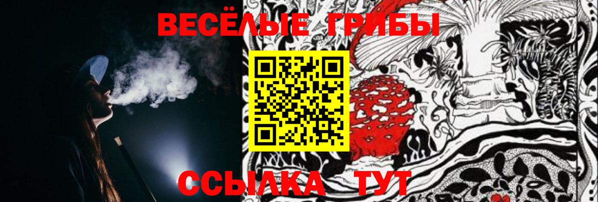 Кореновск  Галлюциногенные грибы прущие грибы  Псилоцибиновые грибы GOLDEN TEACHER  Вход с VPN 